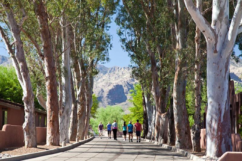 Canyon Ranch Tucson Mount Lemmont Dış mekan fotoğraf