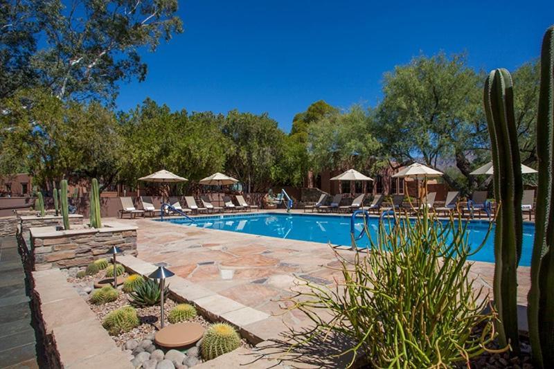 Canyon Ranch Tucson Mount Lemmont Dış mekan fotoğraf
