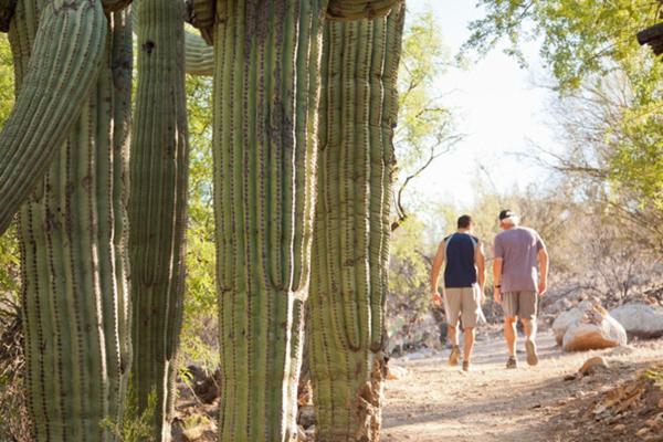 Canyon Ranch Tucson Mount Lemmont Dış mekan fotoğraf