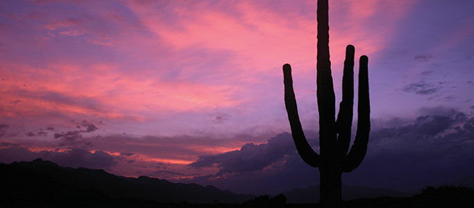 Canyon Ranch Tucson Mount Lemmont Dış mekan fotoğraf