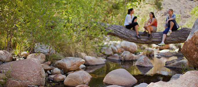 Canyon Ranch Tucson Mount Lemmont Dış mekan fotoğraf